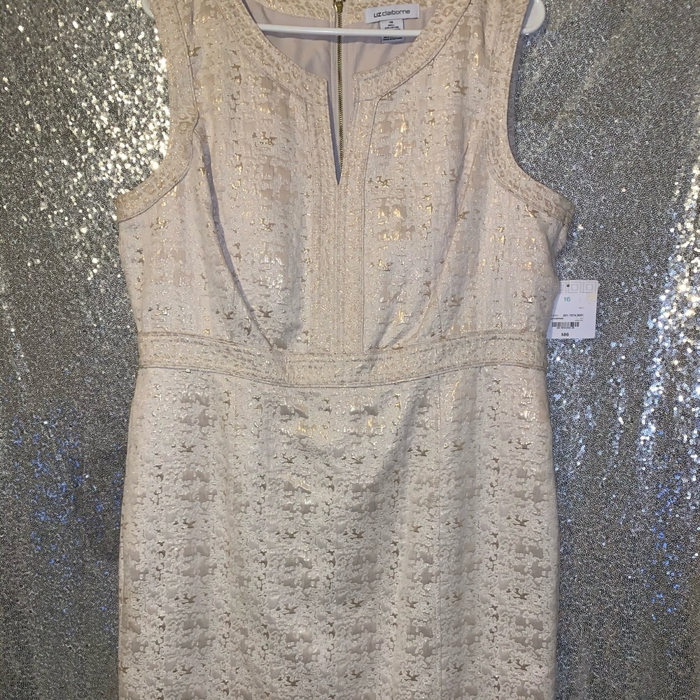 NWT Dress